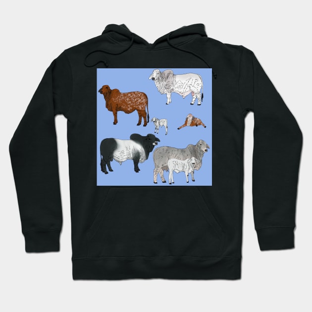 Brahman Cattle Blue Hoodie by TrapperWeasel